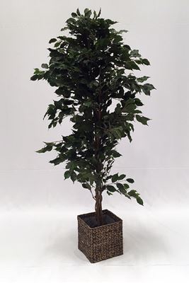 Picture of Grön växt 120-170 cm, siden