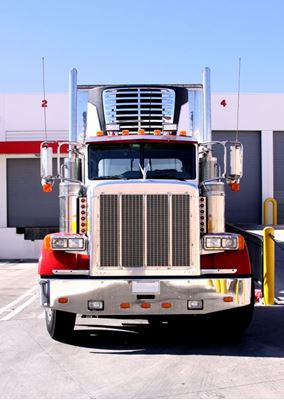 Bild på Eluttag till kylbil 3-fas 32 A